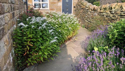 Law Common Cottage - Foto 2, Garden view