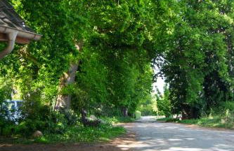 Hof Bahrenwinkel - Foto 23