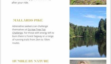 Carefree Cottage - Foto 4