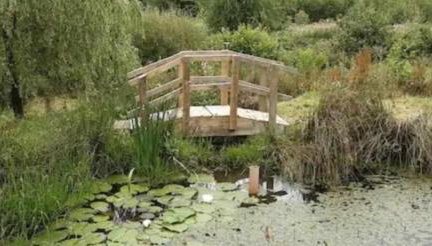 Tara vegetarian retreat guesthouse - Foto 4