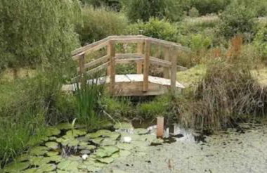 Tara vegetarian retreat guesthouse - Foto 4