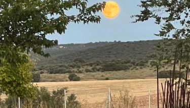 Espacio Shangrila.One - Foto 2