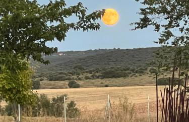 Espacio Shangrila.One - Foto 2