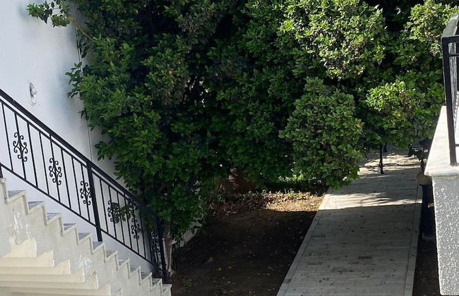 The Palm Club Apart Otel - Photo 80