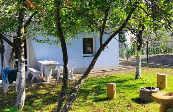 Noclegi W Sadzie - Foto 8