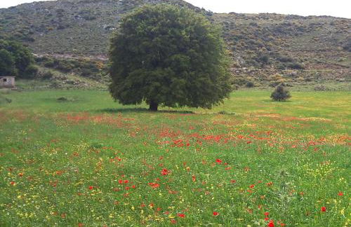 Meronas Eco House - Foto 29