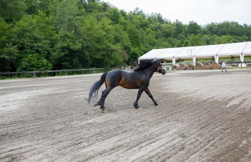 Agriturismo Carovane - Photo 33