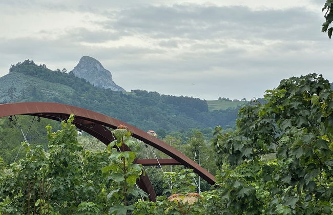 Loben Apartamentos - Foto 71