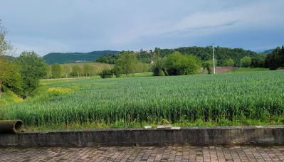 Casa dei Prati - Foto 4