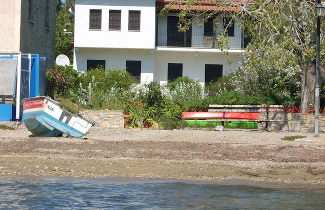 Zmas Studios - Foto 22