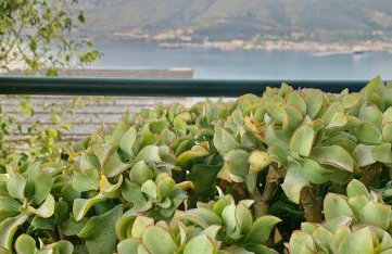 Aggelos and Thisbe Chania Suburbs Sea View Guest House - Foto 44