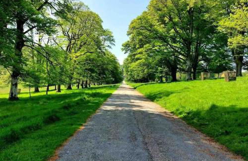 Bells Cottage - Explore Cornwall by rail - Foto 54