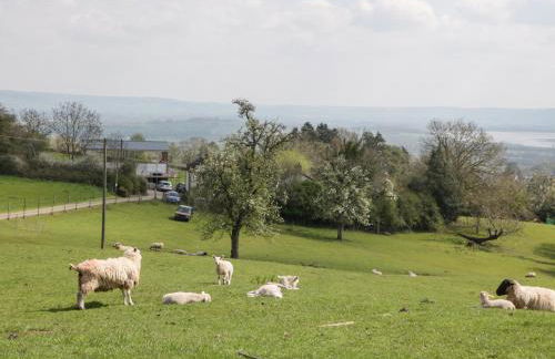 Moors Farm - Foto 64