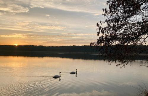 DOMEK W BRZOZACH nad jeziorem z balią na wyłączność - Foto 33