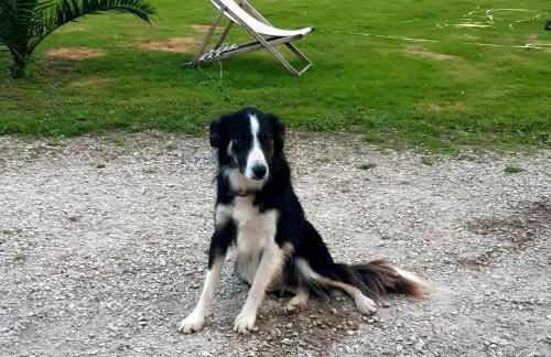 Gîte du Clos Giot - Foto 26