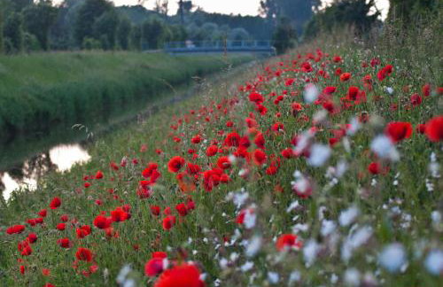 FeWo Oberle - Foto 4