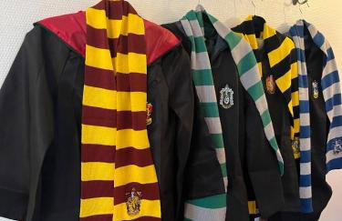 Le Refuge mysterieux d'Harry proche Gare Toulouse - Foto 3