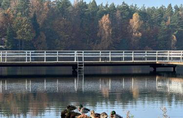Zielony Zakątek na Gwizdówce - Foto 29