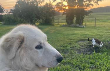 Yahweh Horse Retreat - Photo 24