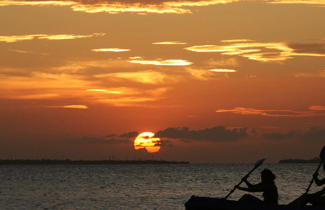 Tour nocturno en kayak por los manglares de Mandinga - Foto 1