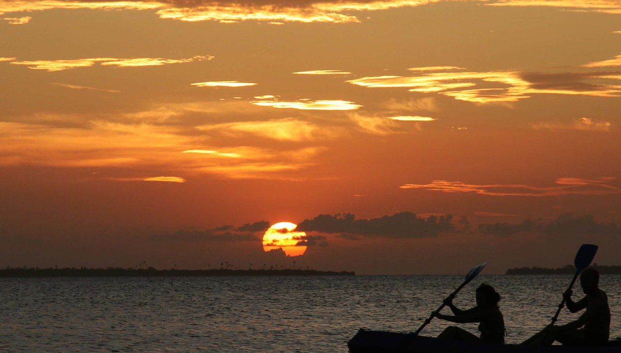 Tour nocturno en kayak por los manglares de Mandinga - Foto 1, Tour nocturno en kayak por los manglares de Mandinga