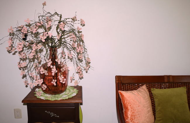 Ixtapa Exclusiva Villa en la Zona Hotelera - Foto 10