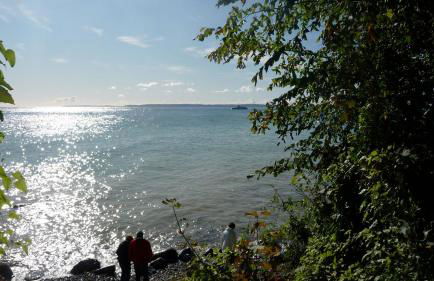 Ostseeblick Sassnitz - Foto 22