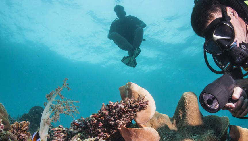 PADI Advanced Open Water Diving Course - Foto 1