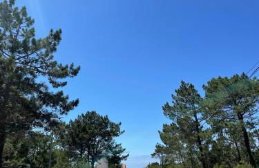 T1 Lagoa Santo André - Foto 15