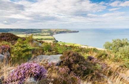 Dovecote House - Luxury Town House - Dog Friendly - Foto 53