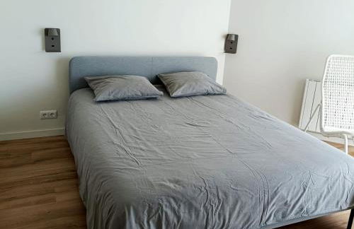 Cavalos de Ofir - Photo 3