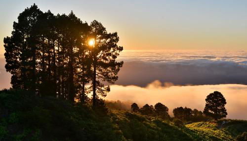 Casa las estrellas - Foto 2