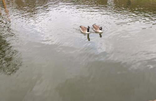 The Hay Barn - Foto 16