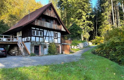 Schwarzwaldhütte am Bach mit Sauna - Foto 1
