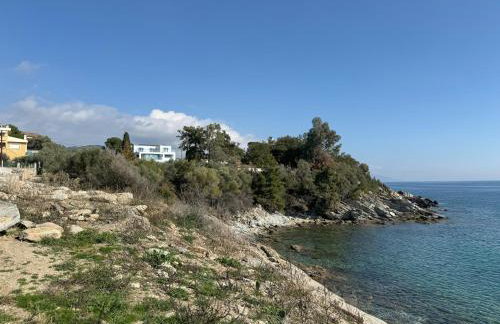 Acra Melia - Foto 59