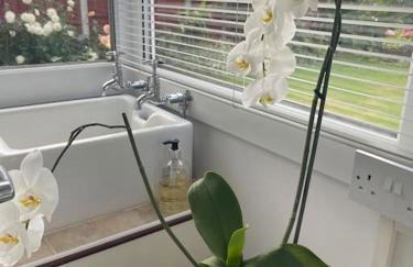 Fylde Coast Stays - Home from Home - Foto 46