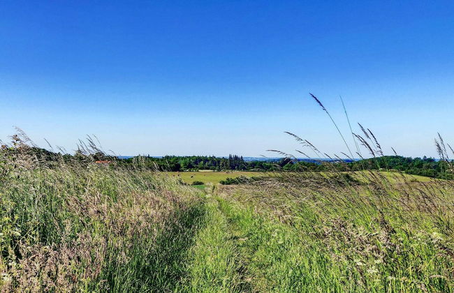 4 Person Holiday Home in Millinge - Foto 10