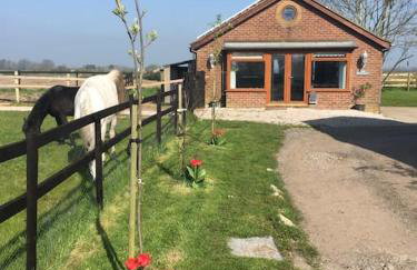 The Bungalow - Photo 8