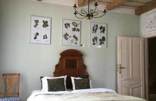 agroturystyka Orzechowe Wzgórze - Foto 43