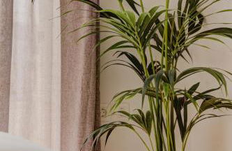 Indigo Seaside Experience - Foto 45