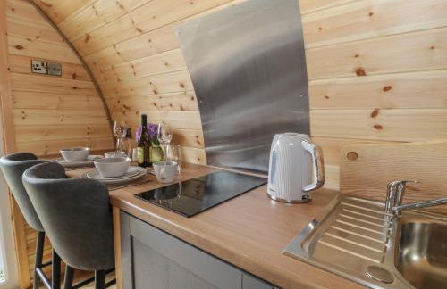 Dysynni Pod - Foto 6