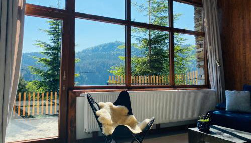 Apartamenty Piwniczna - Foto 5