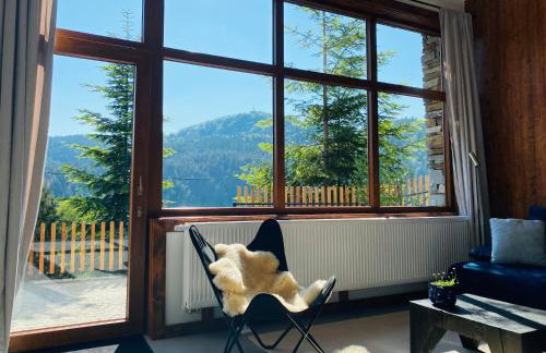 Apartamenty Piwniczna - Foto 5