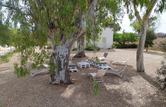 TerreAmare Agriturismo - Photo 56