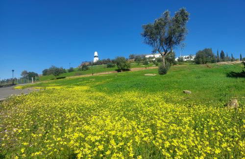Casa da Ermida Cottage with Jacuzzi and fantastic views - Foto 58