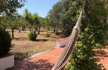 Casa Bungavilia - Roots of Alentejo - Foto 59