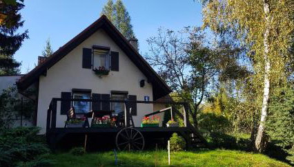 Agroturystyka Lisa Młyn - Foto 4