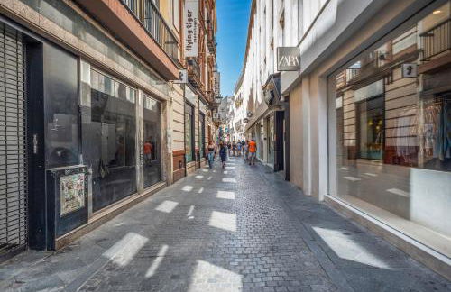 Calma Places - San Eloy 20 - Photo 56