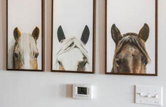 Downtown Midtown Vanderbilt, Honky Tonk Party Pad 2, Parking Gym Pool - Foto 55