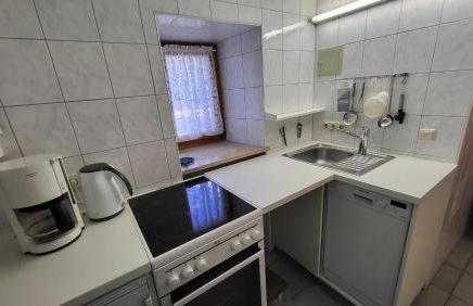 Grosse Wohnung mit Garten und Bergblick - Foto 21